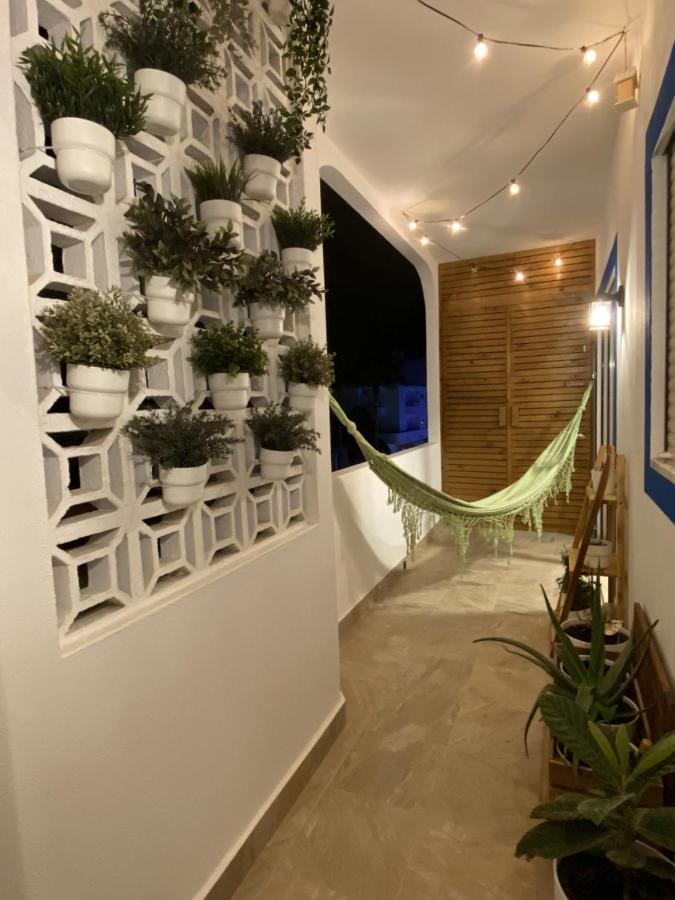 Cosy Top Floor Apartment การ์วอยโร ภายนอก รูปภาพ